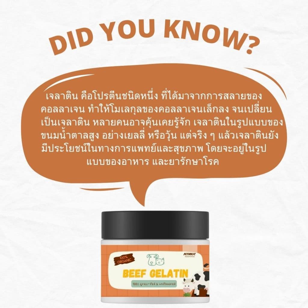 เจลาติน 100% Grass Fed Beef Gelatin Powder สำหรับทำเยลลี่สัตว์เลี้ยง รูปที่ 3