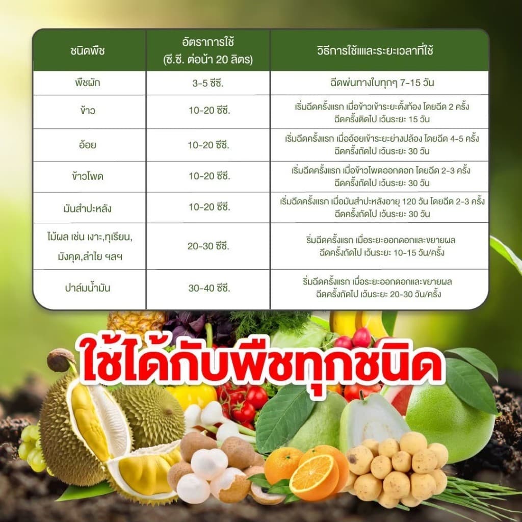 แมกม่าลาวา แมกม่า สารจับใบ ต้านเพลี้ยลดการหลุดร่วง + ปุ๋ยนำ้ลาวา เร่งฟื้นฟูต้น เพิ่มปริมาณผลผลิต รูปที่ 7