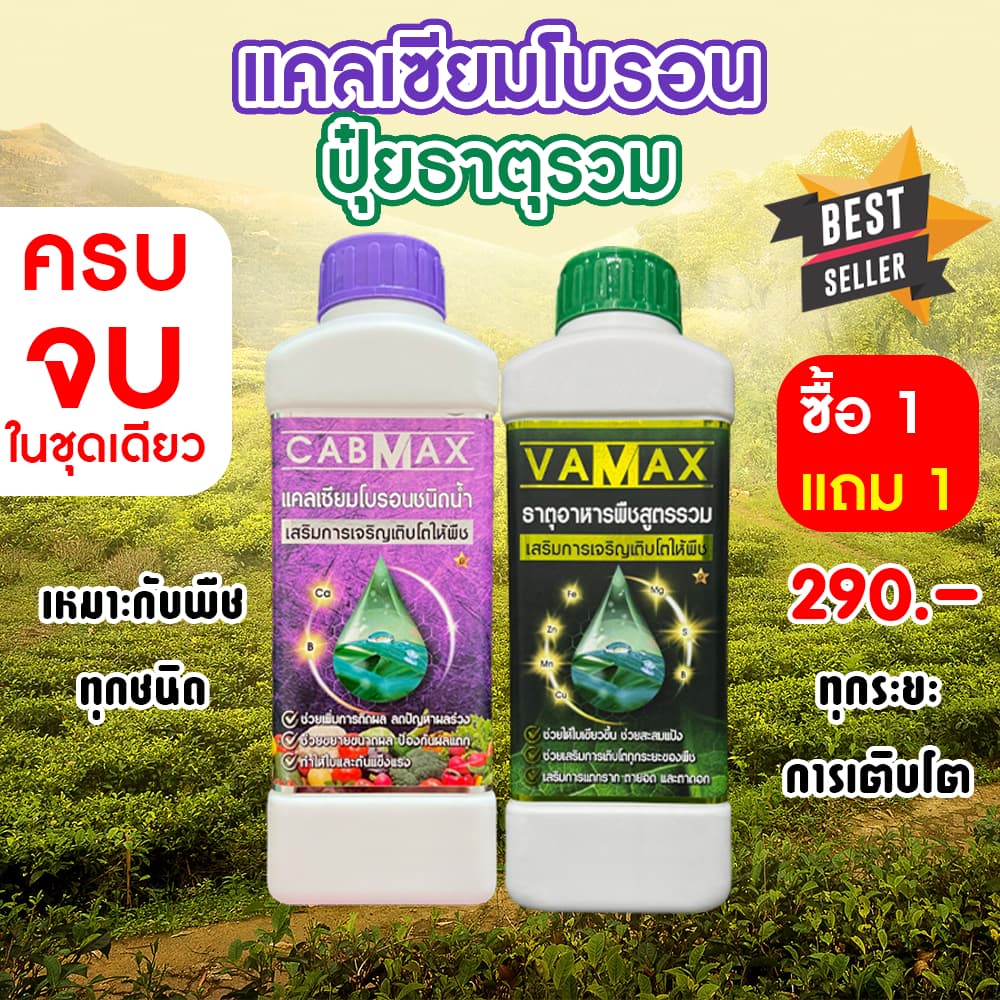 CABMAX แคลเซียมและโบรอนเข้มข้น + VAMAX ธาตุอาหารรวมเข้มข้น 2 ลิตร รูปที่ 1