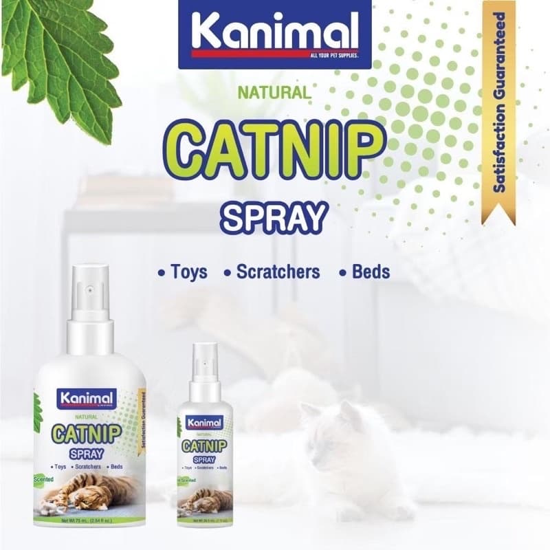 Kanimal Catnip Spray & Matatabi สเปรย์แคทนิป มาทาทาบิ กัญชาแมว ให้แมวผ่อนคลาย ลดความเครียด มี 2 ขนาด รูปที่ 4