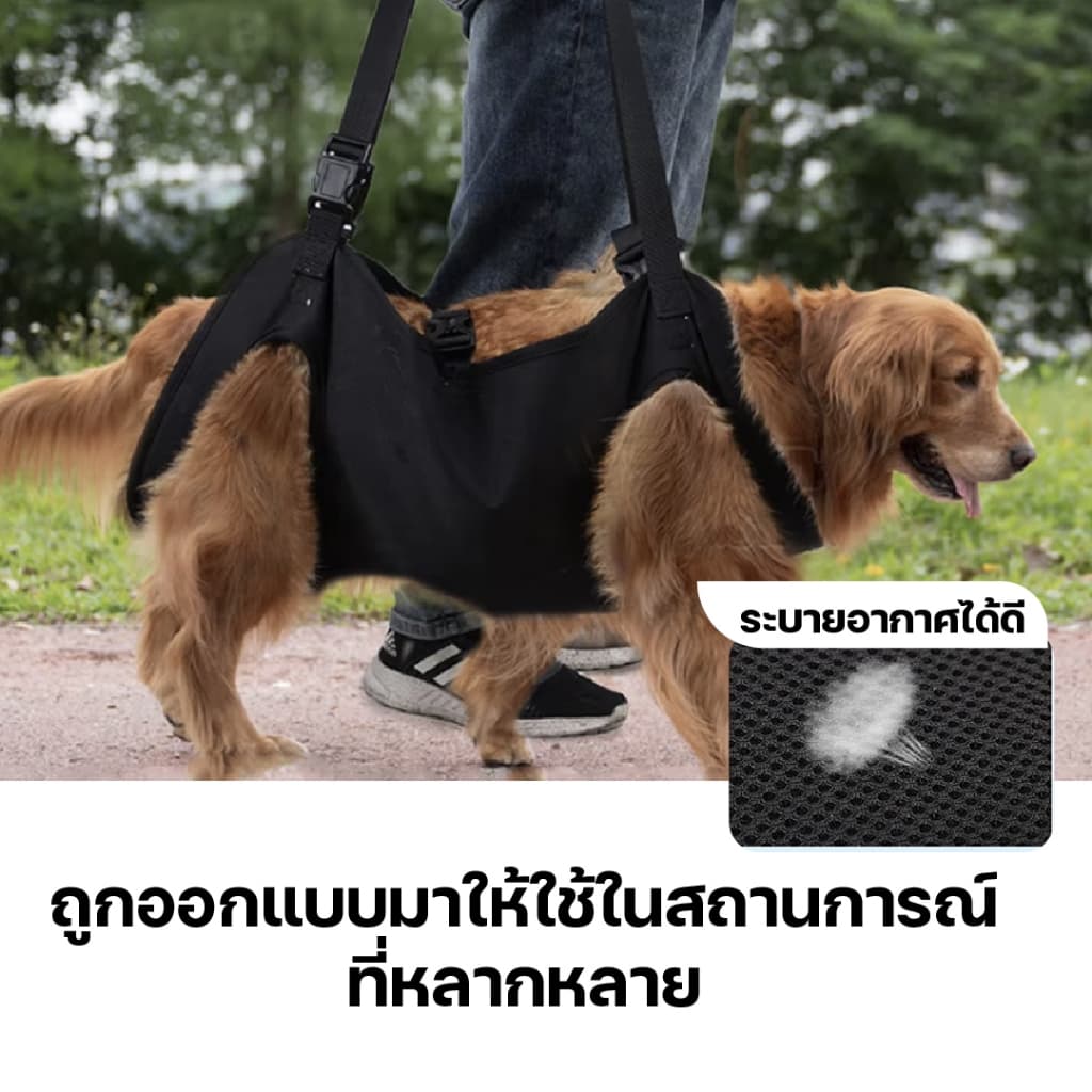 สายรัดพยุงเดินสุนัข เสื้อกั๊กช่วยเดินสุนัขสูงอายุ สำหรับสุนัขบาดเจ็บข้อสะโพกขาหลัง รูปที่ 8