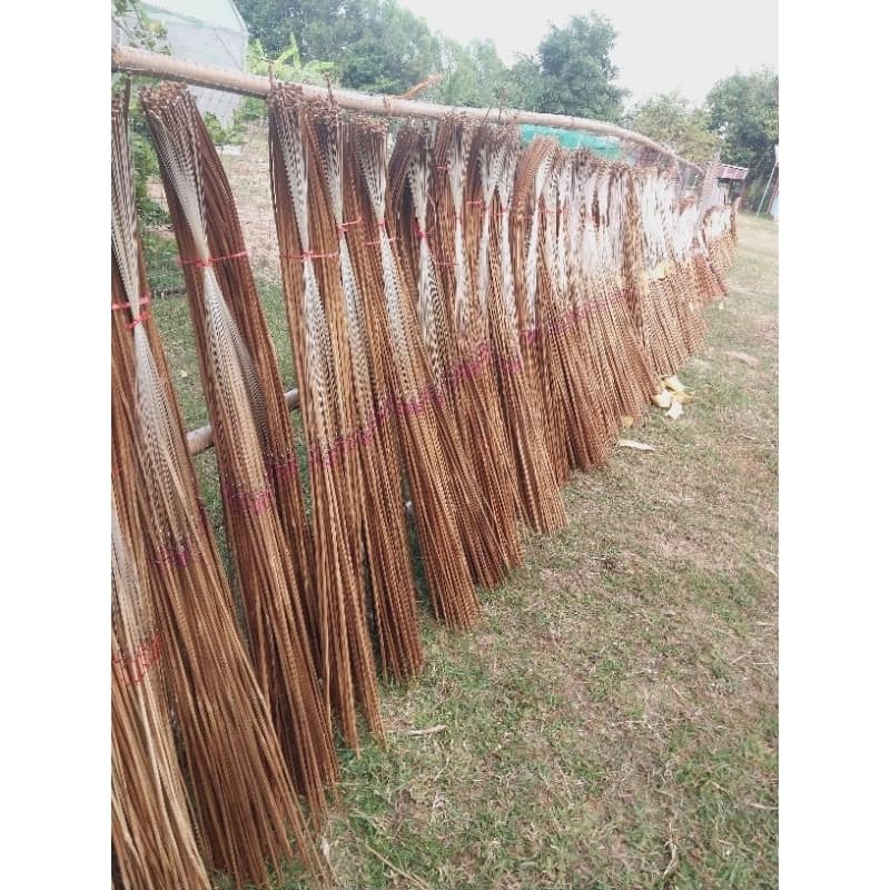 เบ็ดปักคันนาไม้ไผ่ พร้อมใช้งาน ชุด ยาว 90,100 cm รูปที่ 6