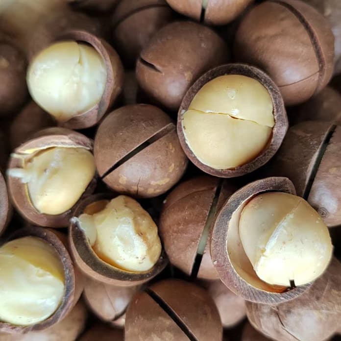 สุดคุ้ม ! แมคคาเดเมีย 200 กรัม เกรด AAA อบเนย แบบมีเปลือก กรอบ สด ใหม่ หวานเจี๊ยบน้ำตาลไทย รูปที่ 5