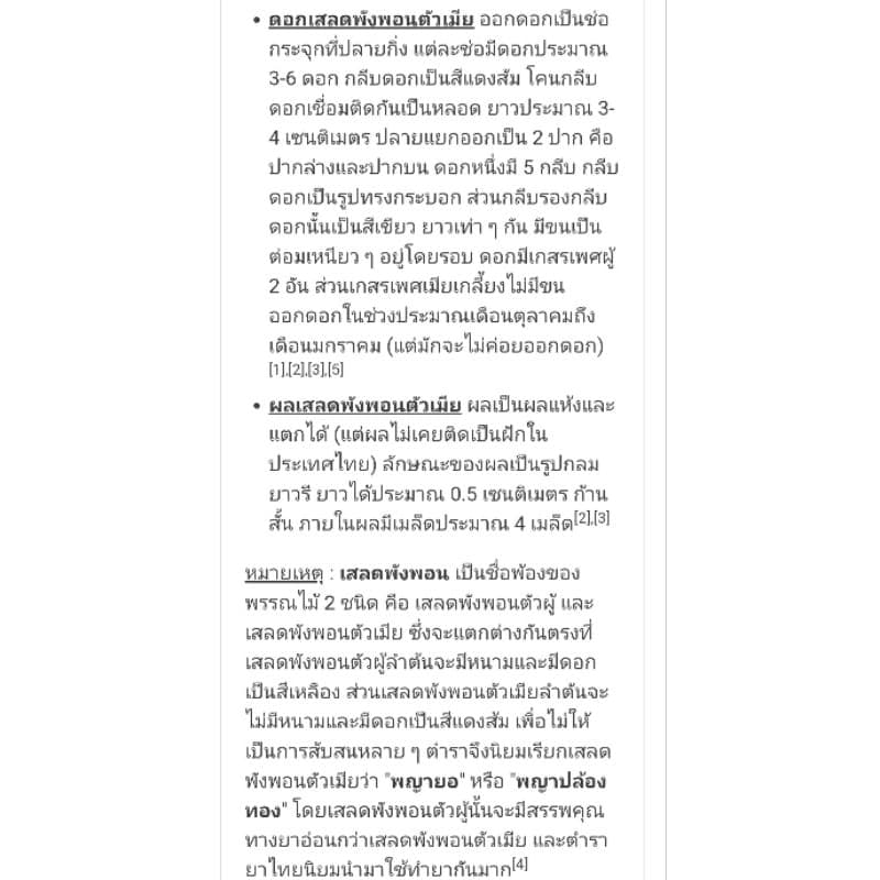 ต้นเสลดพังพอนตัวเมีย พญายอ ต้นไม้สมุนไพรไทย รักษา ผักสวนครัว ตำรับยาไทย จัดสวนแต่งบ้าน ดิน ปุ๋ย เมล็ดพืช กระถาง ต้นกล้า รูปที่ 8