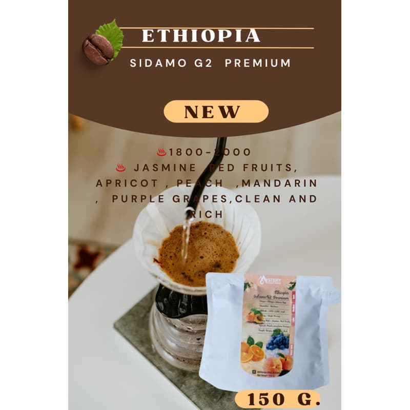 เมล็ดกาแฟ Ethiopia sidamo G2 premium รูปที่ 4