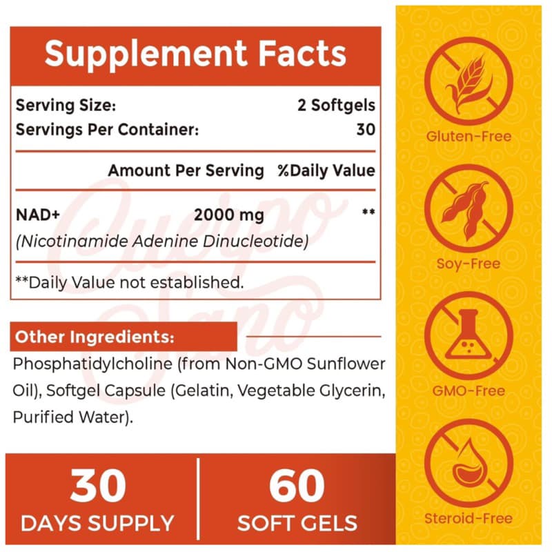 LIPOSOMAL NAD 2000 MGชะลอวัย ลดความเสื่อมซ่อมแซม DNAเพิ่มพลังงานเซลล์ต้านอนุมูลอิสระ‼ 60 ซอฟ์ทเจล ‼ รูปที่ 2