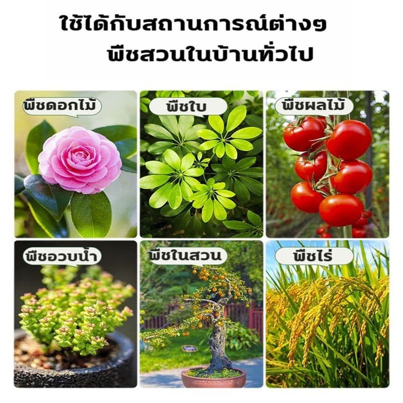 ยากำจัดแมลงพืช 500ml ยาฆ่าแมลง ยากำจัดหนอน สารกำจัดแมลง ยาฆ่าแมลงกินใบ ยากำจัดเพลี้ย ยาฆ่าเพลี้ย ​หนอน มด เกษตร สว รูปที่ 7