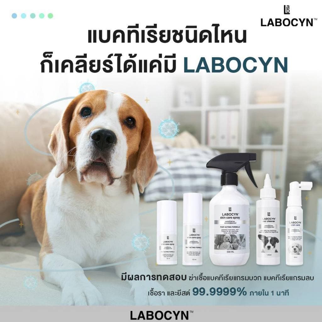 Labocyn Skin Care Spray สเปรย์ดูแลผิวหนังสุนัข แมว ผิวหนัง แผลสด เชื้อราแมว ยีสต์ แบคทีเรีย รูปที่ 4