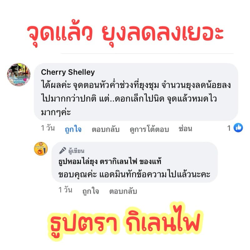 ธูปไล่ยุง ของแท้ ตรากิเลนไฟ รูปที่ 6
