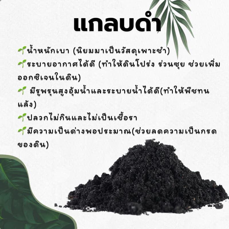 แกลบดำ 900 กรัม เพาะชำ ผสมดินปลูก รูปที่ 2