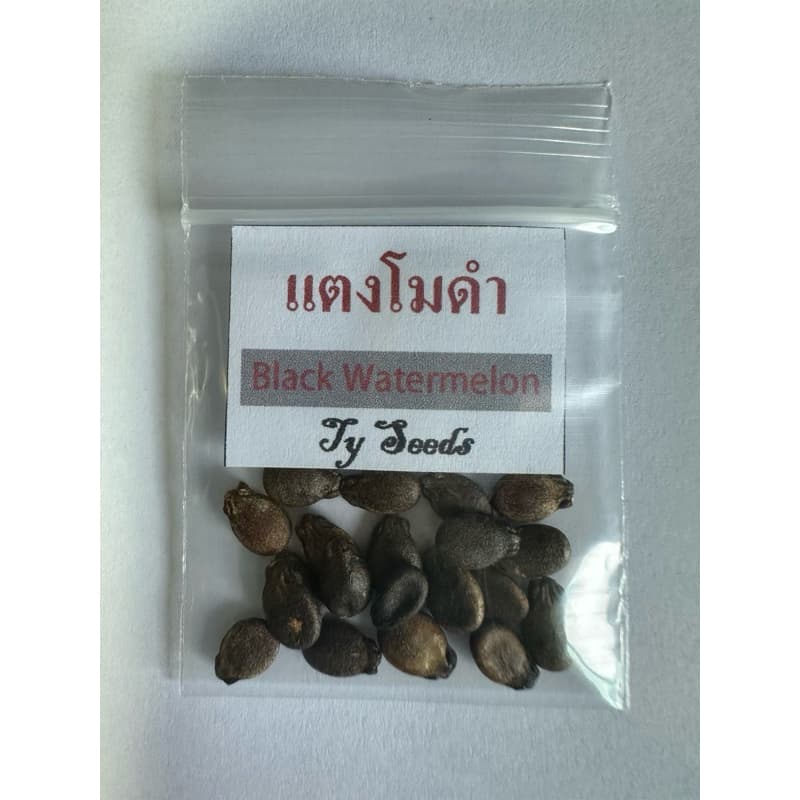 เมล็ดพันธุ์ แตงโมดำ 20 เมล็ด คละได้ รูปที่ 2