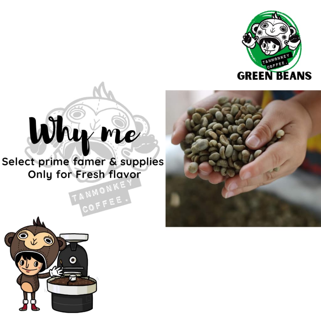 สารเมล็ดกาแฟเอธิโอเปีย Ethiopia Yirgacheffe G2 Washed ขนาด 5 kg รูปที่ 5
