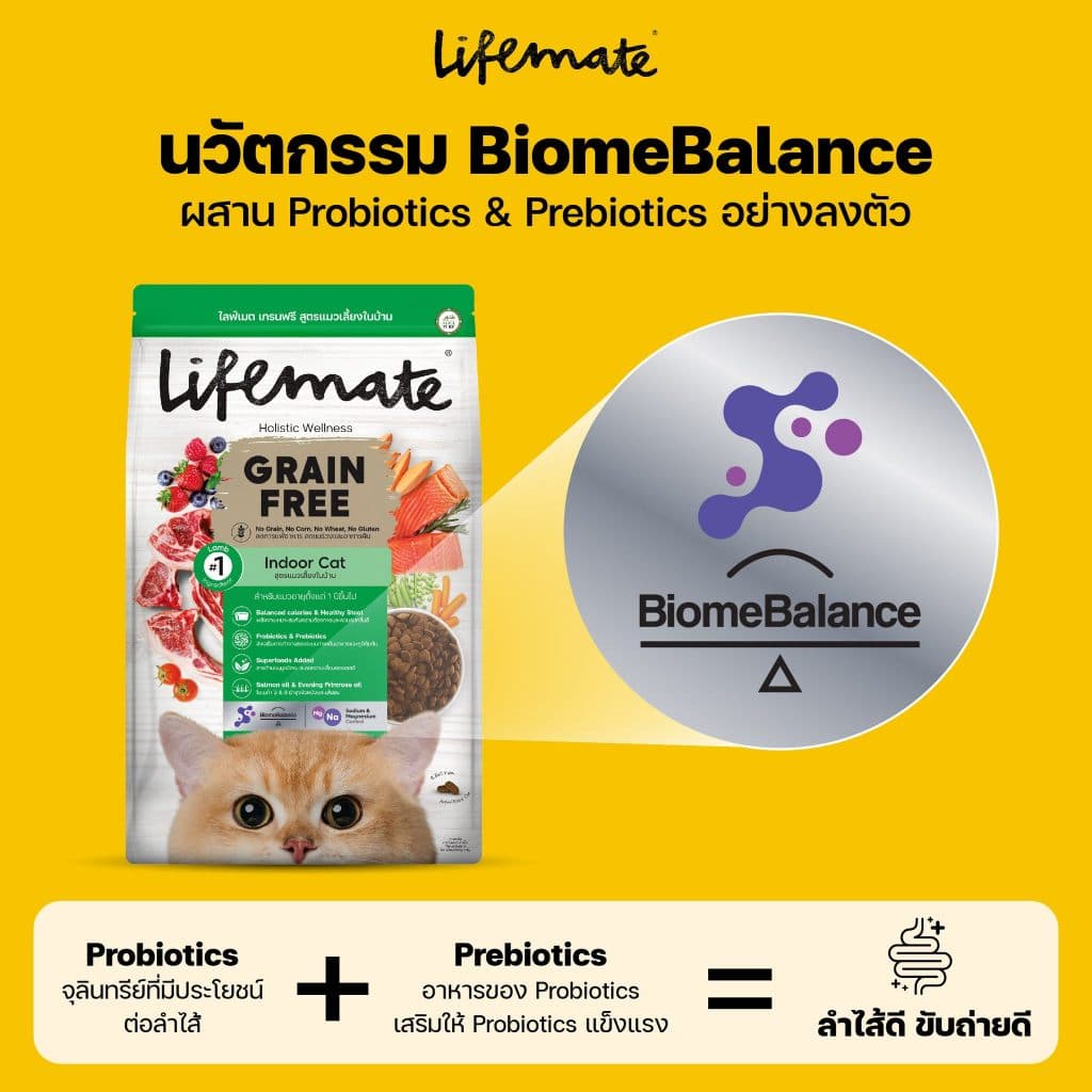 Lifemate อาหารแมว เกรดโฮลิสติก ควบคุมโซเดียม ถนอมไต ครบทุกสูตร พรีเมียม สำหรับแมว1ปีขึ้นไป รูปที่ 5