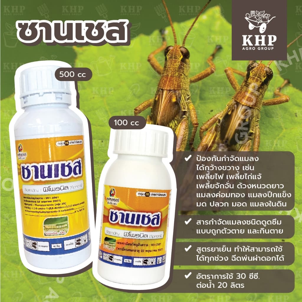 ซานเชส กำจัดปลวก มด หนอน เพลี้ย ด้วงอ้อย แมลงทุกชนิด สูตรเย็นฯลฯ ตามบ้านเรือน สวนไร่นา ไร้กลิ่น ไม่รัด ไม่กัดนวล รูปที่ 1