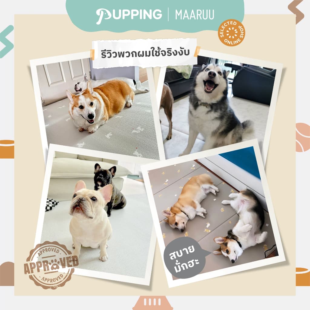 Pupping Petmat รุ่น Rug Type M - L แผ่นกันลื่นสุนัข พรมกันลื่น รองกันลื่นสัตว์เลี้ยง หมาแมว ป้องกันข้อสะโพกเสื่อม รูปที่ 2