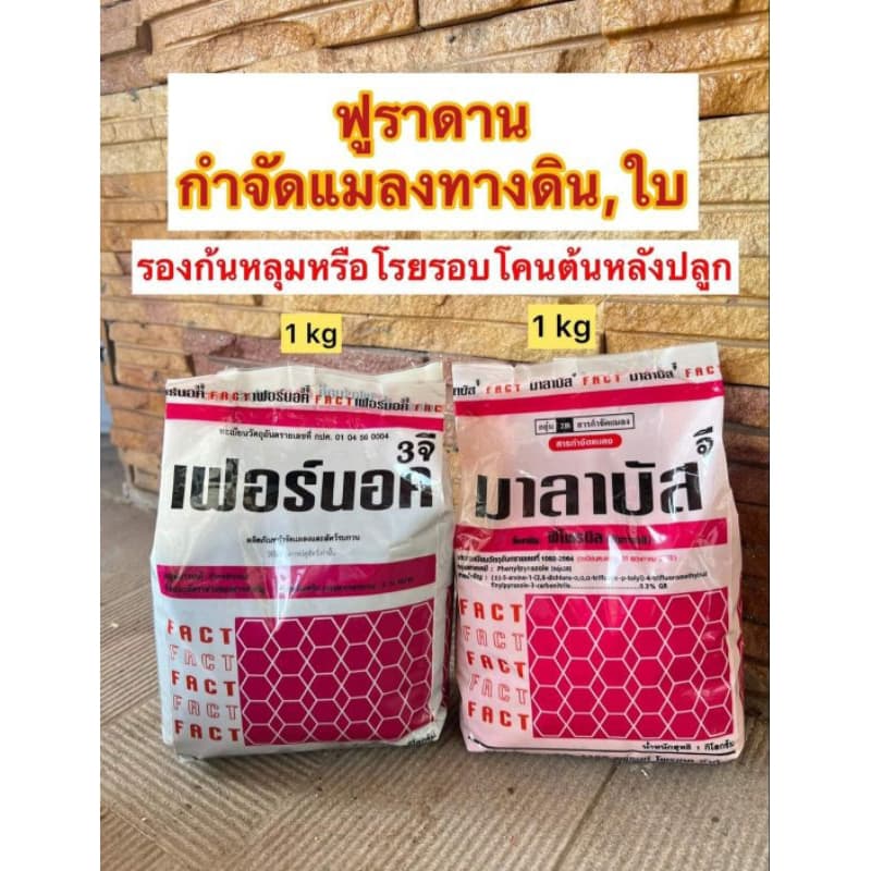 ฟูราดานกำจัดแมลงทางดินใบ รูปที่ 1