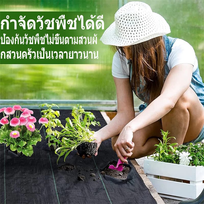 พลาสติกคลุมดิน ผ้าคลุมหญ้า พลาสติกคลุมวัชพืช กำจัดวัชพืช ผ้าคลุมวัชพืช พลาสติกเกรดส่งออก ผสมUV ฆ่าหญ้า เห็นผลไวถายใน รูปที่ 9