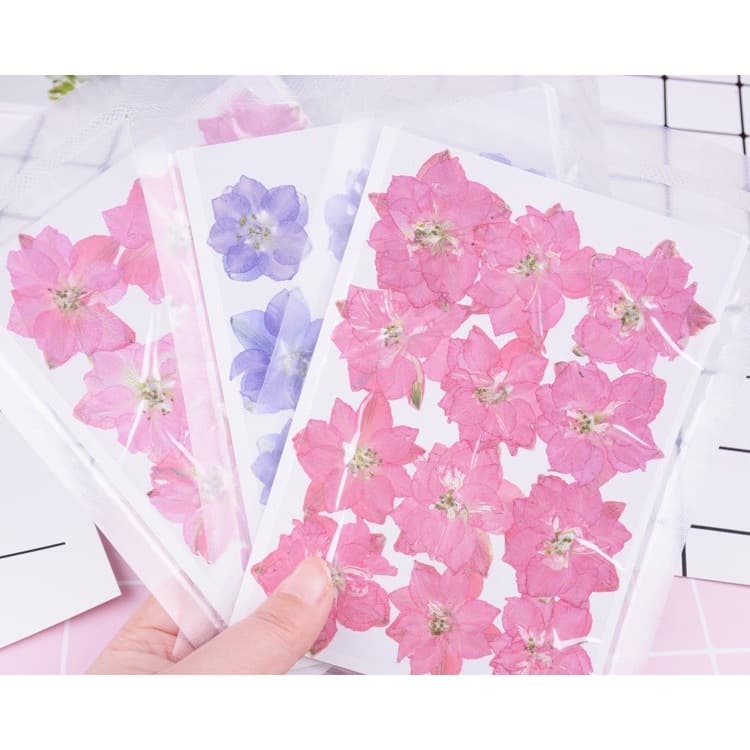 ดอกไม้จริงทับแห้ง ดอกเดลฟินเนียม แต่งเคสโทรศัพท์เรซิ่น เครื่องประดับต่าง diy ขนาด 2.5-4 cm รูปที่ 6