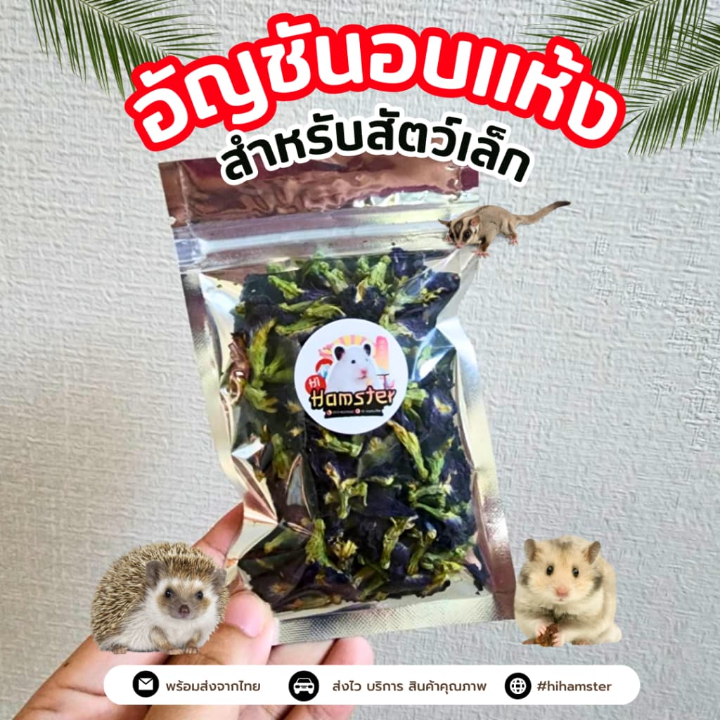 ดอกอัญชันเเห้ง Butterfly Pea ดอกไม้แต่งกรง สามารถทานได้ สำหรับสัตว์ฟันแทะ ขนาด 10g. รูปที่ 3