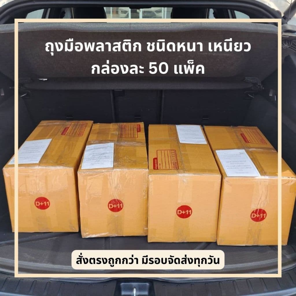 ถุงมือพลาสติกใส PP Plastic Disposable Gloves 100ชิ้น/แพ็ค ยกกล่อง 50 แพ็ค รูปที่ 3