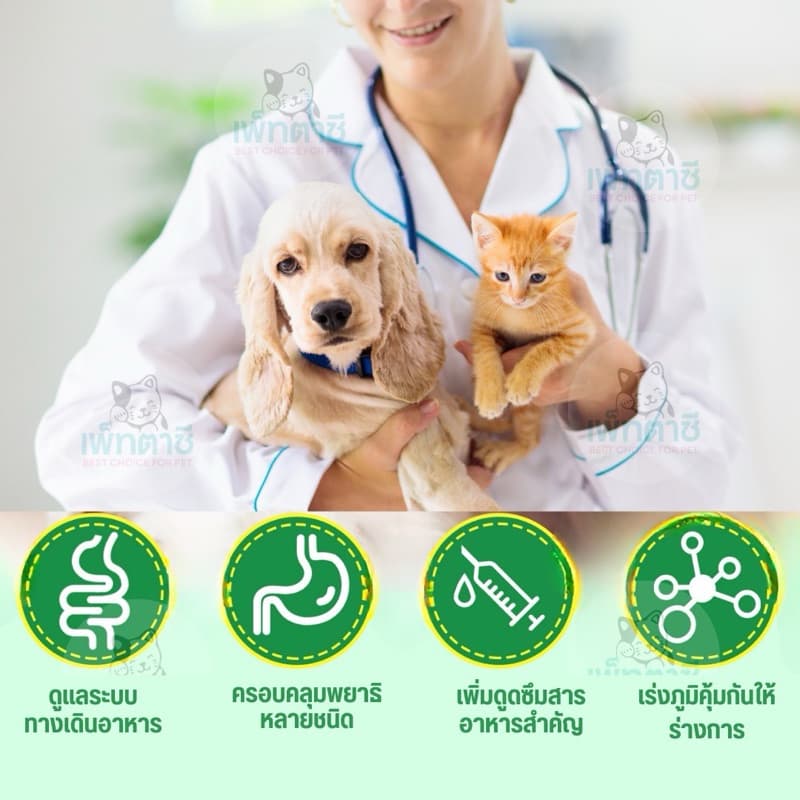 Oimmal De-wormer กำจัดพยาธิ พยาธิตัวกลม พยาธิตัวตืด พยาธิแส้ม้า พยาธิปากขอ ถ่ายพยาธิ เห็นผลใน 30 วัน รูปที่ 4