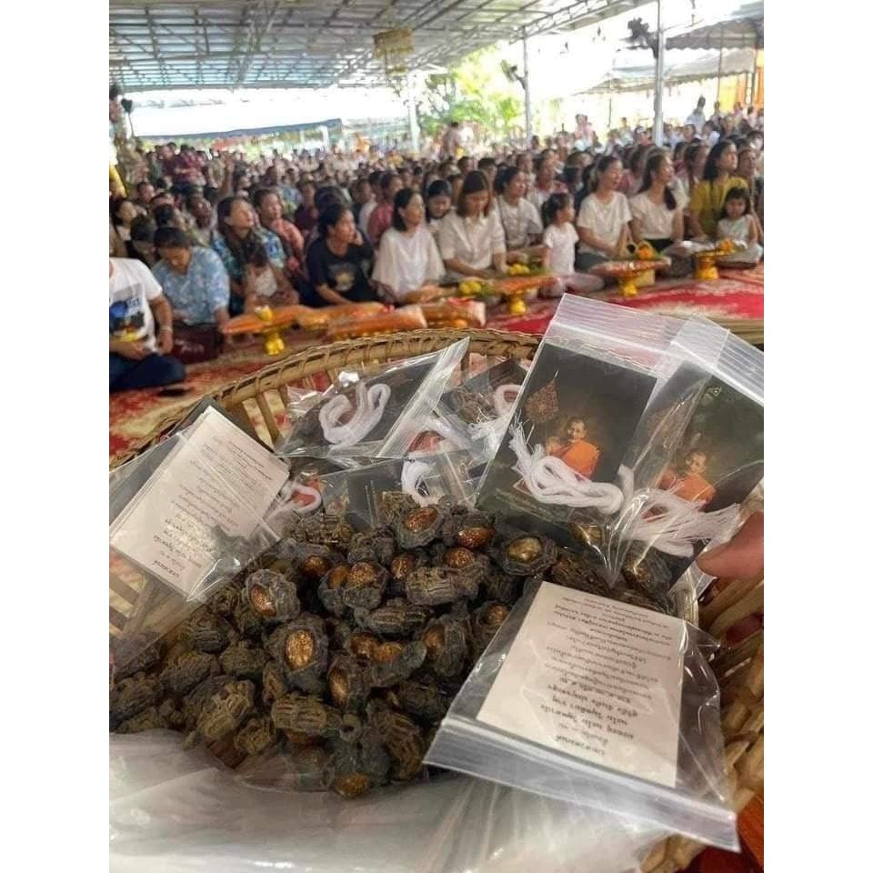เบี้ยแก้กันภัย หลวงปู่ศิลา สิริจันโท วัดโพธิ์ศรีสะอาด พร้อมซองเดิมและสายสิญจน์ หลวงปู่ปลุกเสกมีอานุภาพในทุกด้านทั้งกันแล รูปที่ 5