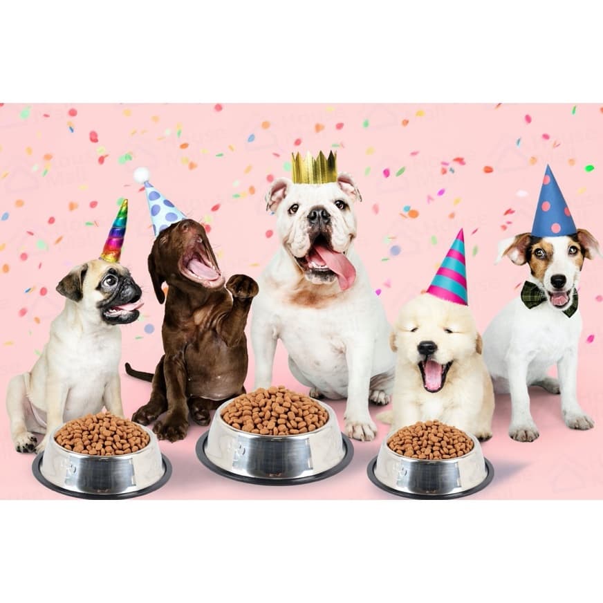 PET LIFE ชามอาหารสัตว์เลี้ยง ชามสแตนเลส ชามแมว ชามสุนัข กันลื่น กันคว่ำ ทนต่อการกัด ทำความสะอาดง่าย มีให้เลือก 5 ขนาด รูปที่ 5