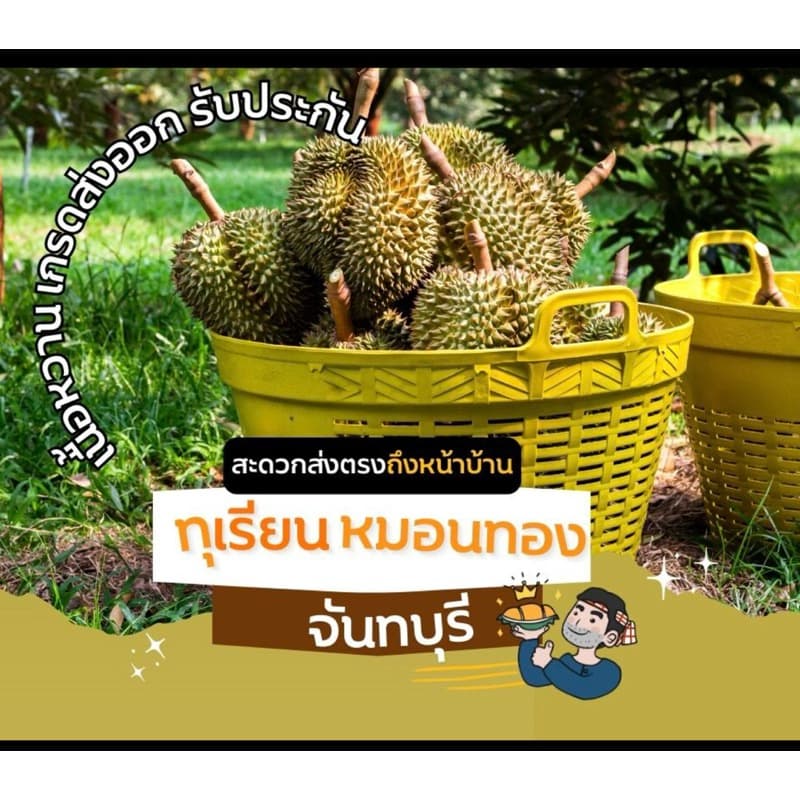 ยอดสั่งซื้อเยอะสุด! ทุเรียนหมอนแท้ ออแกรนิค 100% มีให้เลือกจะเลือกสวยๆให้น้ำหนักเลือกได้ เก็บเงินปลายทาง รูปที่ 1
