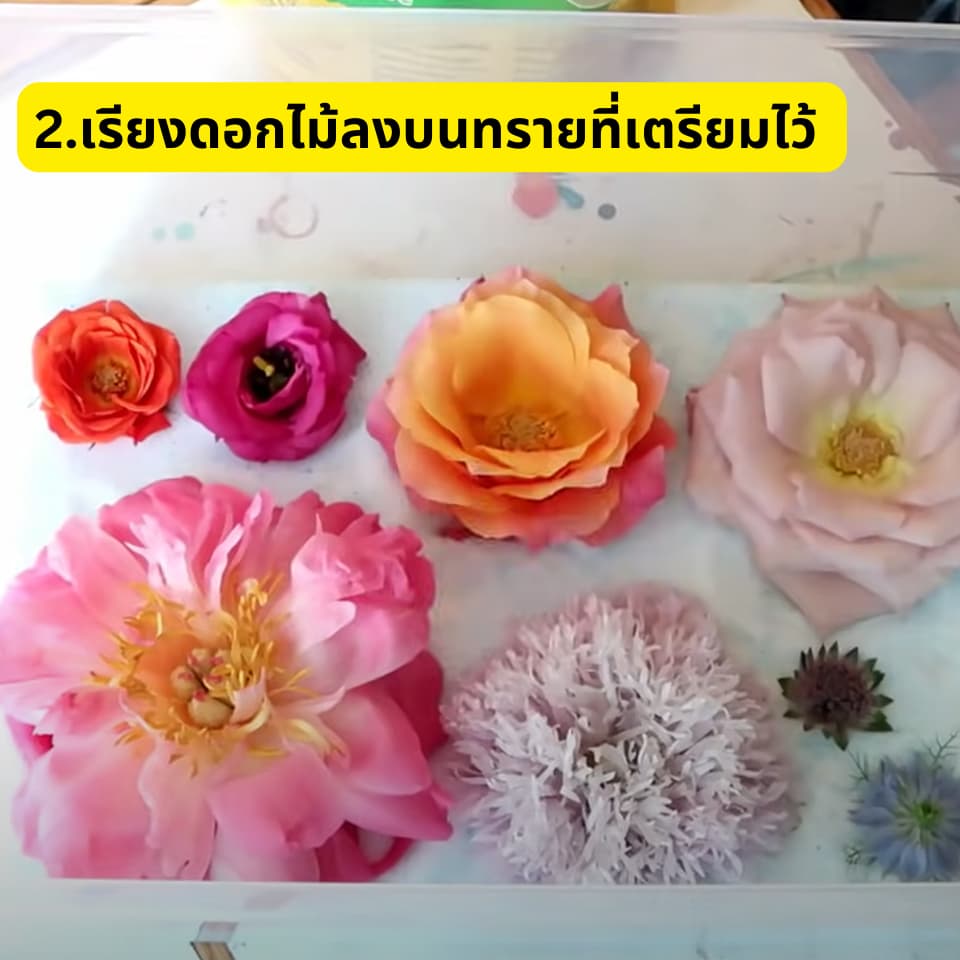 ถูกที่สุดทรายซิลิก้า ซิลิก้าทราย สำหรับทำดอกไม้แห้ง 1 กิโลกรัม อบดอกไม้ มาลัยบ่าวสาว ซิลิก้าทรายอบดอกไม้แห้ง รูปที่ 5