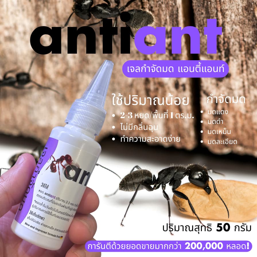 เจลกำจัดมด antiant ขนาด 50 กรัม รูปที่ 5
