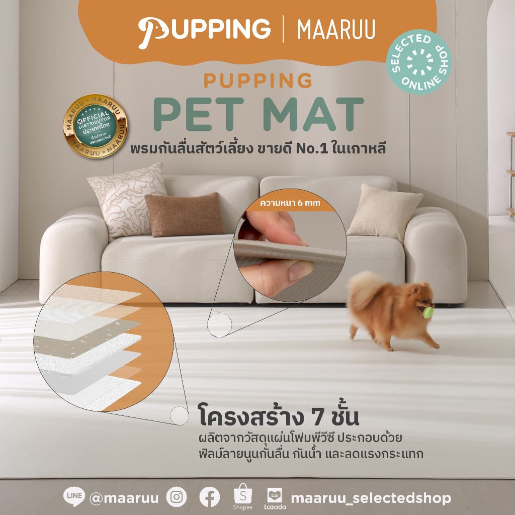 Pupping Petmat รุ่น Rug Type M - L แผ่นกันลื่นสุนัข พรมกันลื่น รองกันลื่นสัตว์เลี้ยง หมาแมว ป้องกันข้อสะโพกเสื่อม รูปที่ 1
