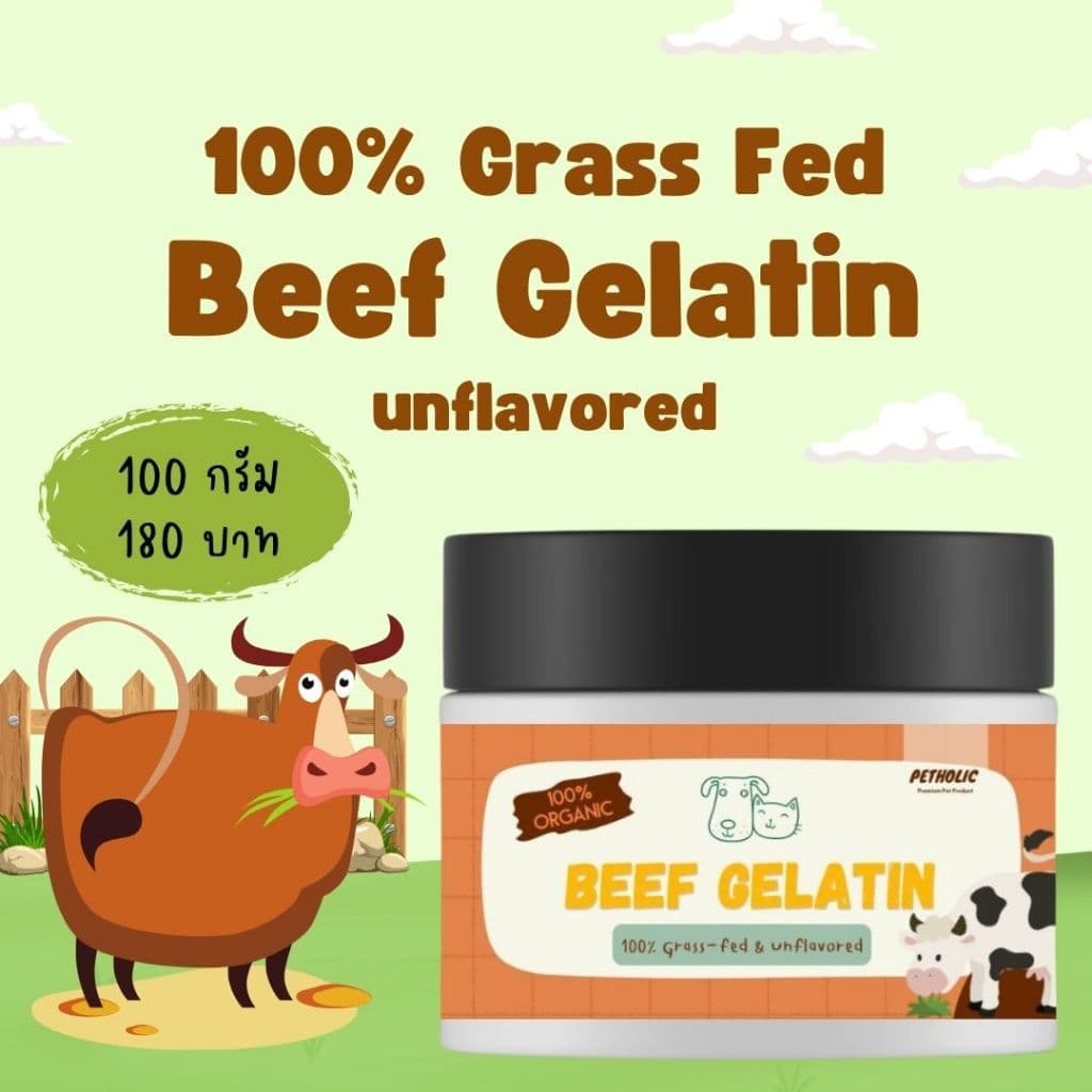 เจลาติน 100% Grass Fed Beef Gelatin Powder สำหรับทำเยลลี่สัตว์เลี้ยง รูปที่ 1