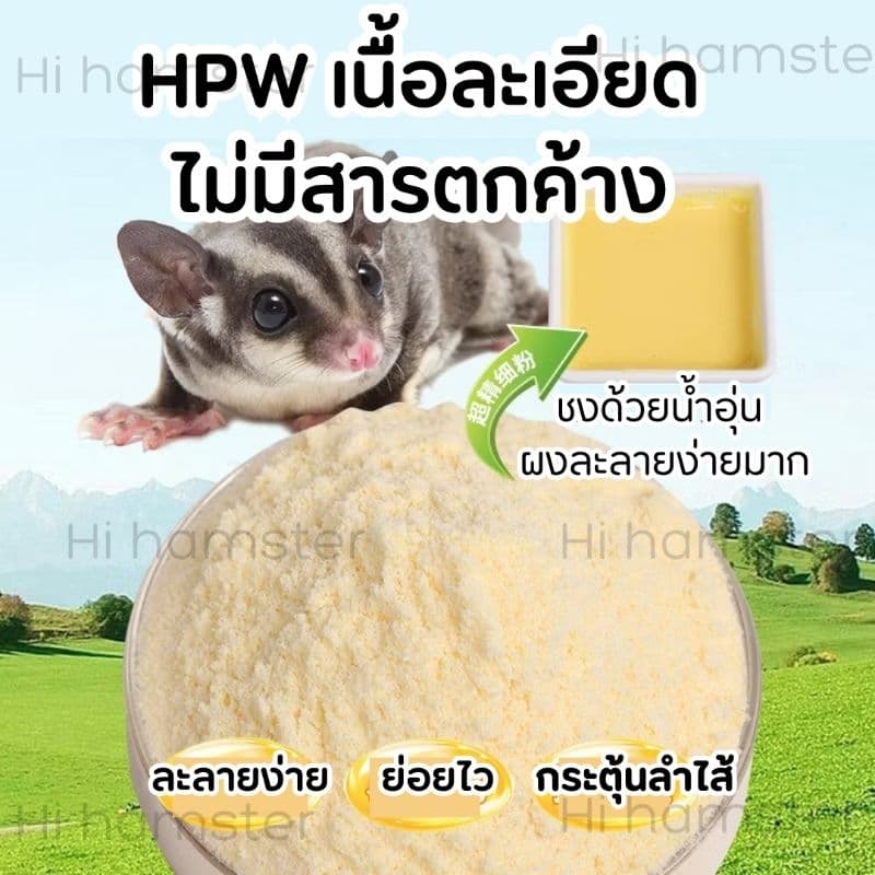 VIBES ผงอาหาร HPWรสน้ำผึ้ง สำหรับชูการ์ ชูก้า ปราศจากน้ำตาลและนมผง รูปที่ 2