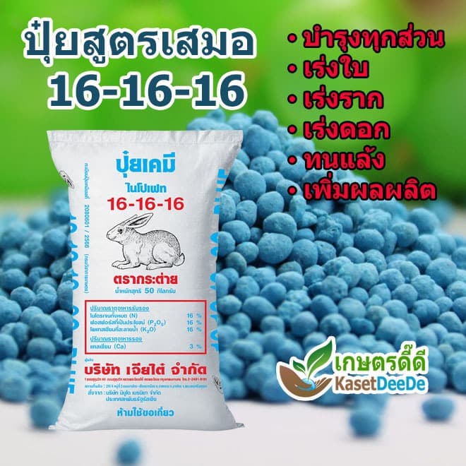 ปุ๋ย 16-16-16 (1kg) ปุ๋ยสูตรเสมอ ปุ๋ยเร่งดอก ปุ๋ยเร่งใบ เพิ่มผลผลิต ปุ๋ยต้นหญ้า ช่วยทนแล้ง