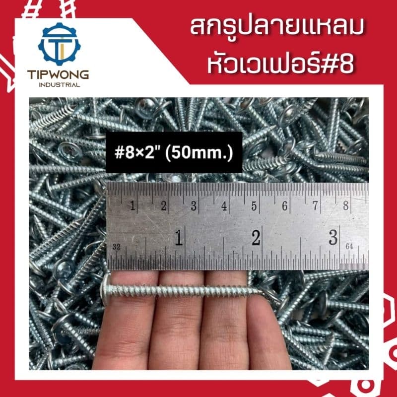 สกรูปลายแหลม หัวเวเฟอร์ชุบขาว #8 รูปที่ 8