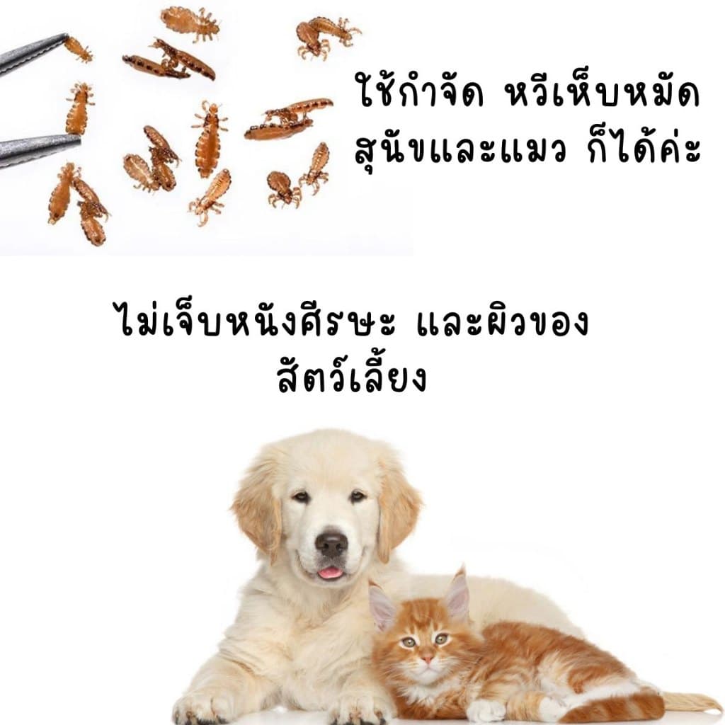หวี หวีเสนียด พลาสติก สางเหา หลุดยันไข่ กำจัดเหา คน กำจัดเห็บ หมัด สุนัข แมว ไม่เจ็บหนัง ศรีษะ ของดี ตกแต่งขน YP รูปที่ 5