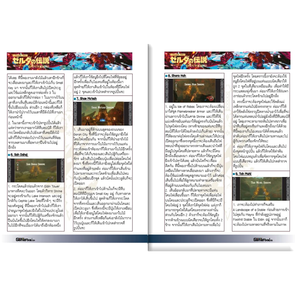 บทสรุปเกม The Legend of Zelda: Breath of the Wild - Expansion Pass รูปที่ 4