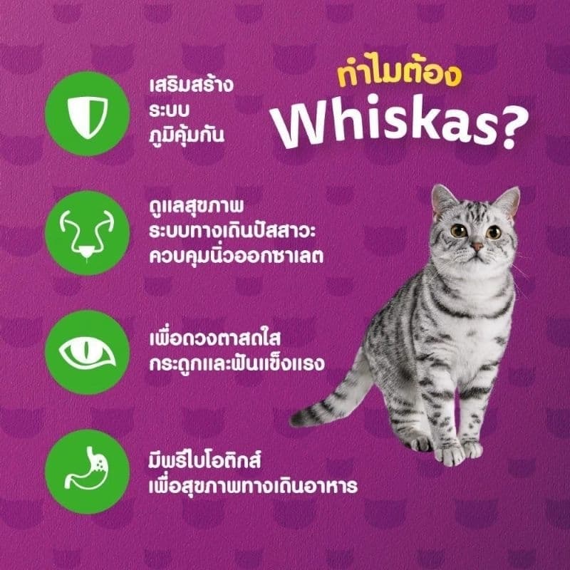 Whiskas Urinary สูตรดูแลระบบทางเดินปัสสาวะแมว 1.1กก. รูปที่ 5