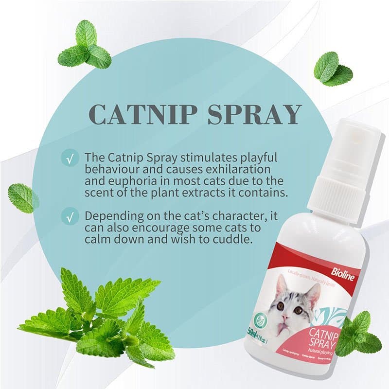 Bioline - Catnip รวมมิกซ์กัญชาแมว แคทนิปแมว รูปที่ 3