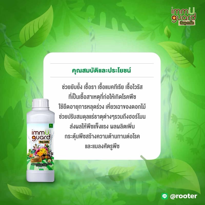immu guard วัคซีนพืช ป้องกันเชื้อรา แบคทีเรีย และ เพลี้ย ออแกนิค100% รูปที่ 7
