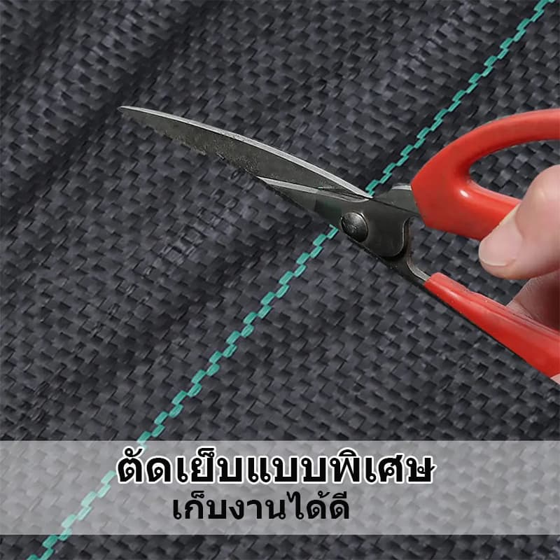 พลาสติกคลุมดิน ผ้าคลุมหญ้า พลาสติกคลุมวัชพืช กำจัดวัชพืช ผ้าคลุมวัชพืช พลาสติกเกรดส่งออก ผสมUV ฆ่าหญ้า เห็นผลไวถายใน รูปที่ 5