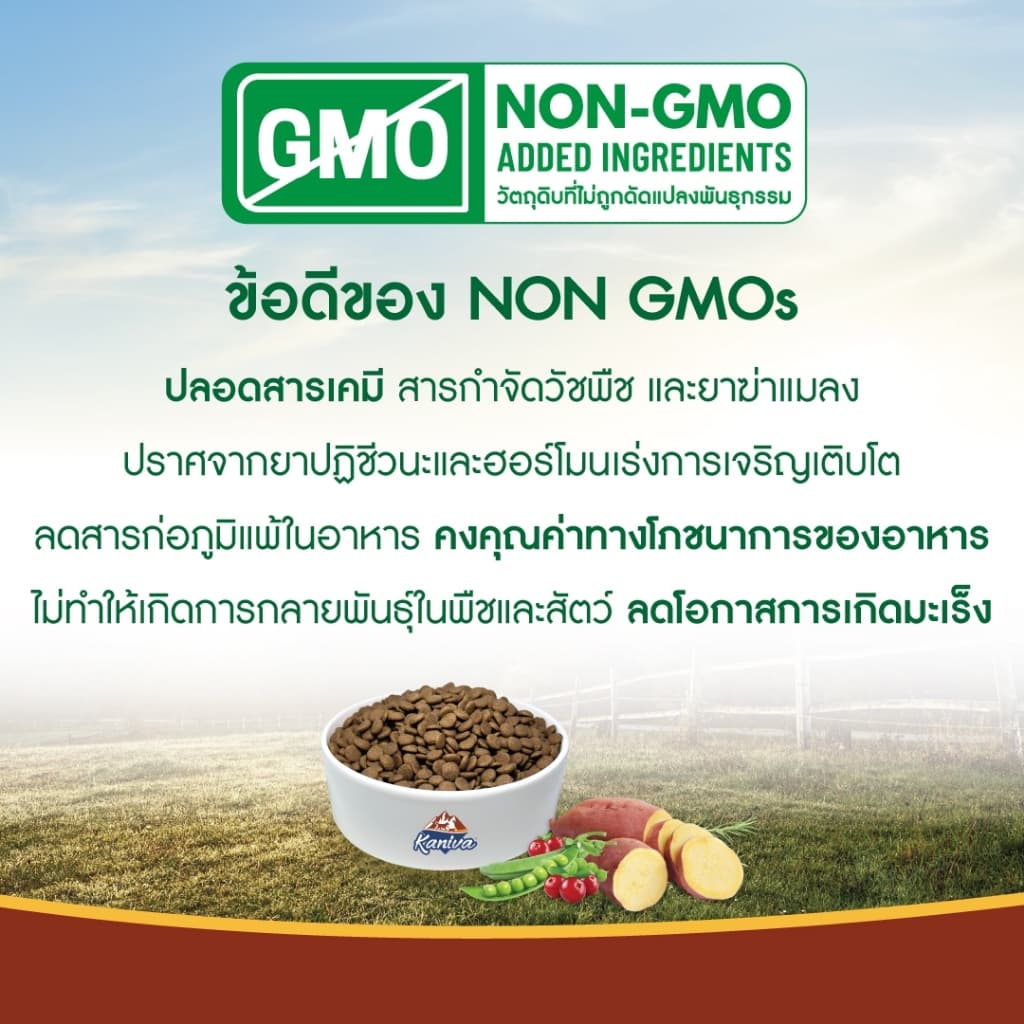 Kaniva Grain Free Salmon 1.2 KG. อาหารแมว สูตรเกรนฟรี เนื้อปลาแซลมอนและปลาทูน่า รูปที่ 8