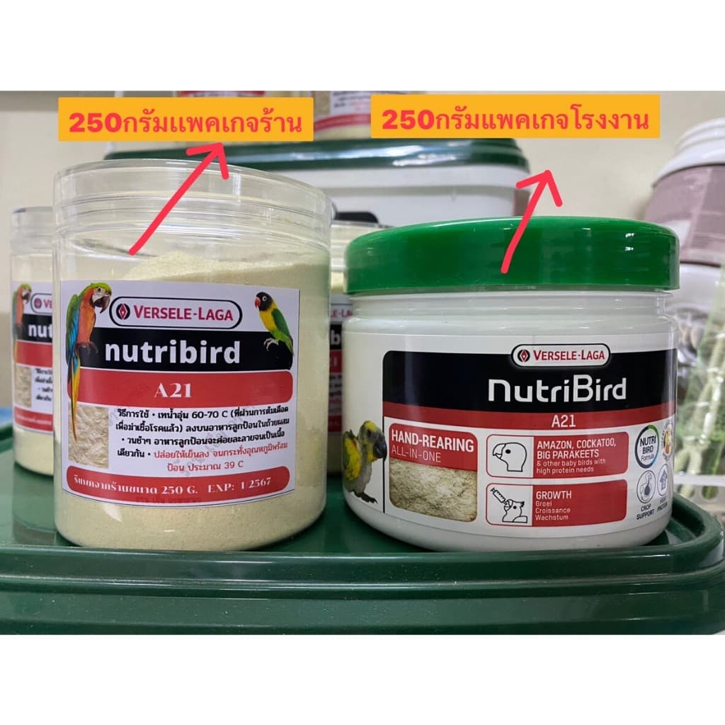 อาหารลูกนก nutribird A21 สำหรับลูกนกทุกสายพันธุ์ ฝาเขียว รูปที่ 7