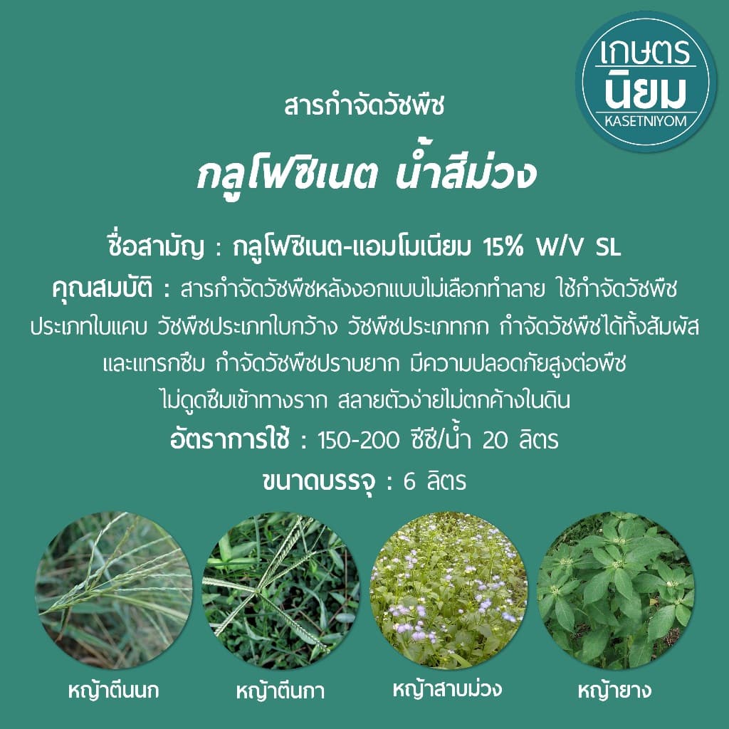 กลูโฟซิเนต น้ำสีม่วง 6 ลิตร รูปที่ 2