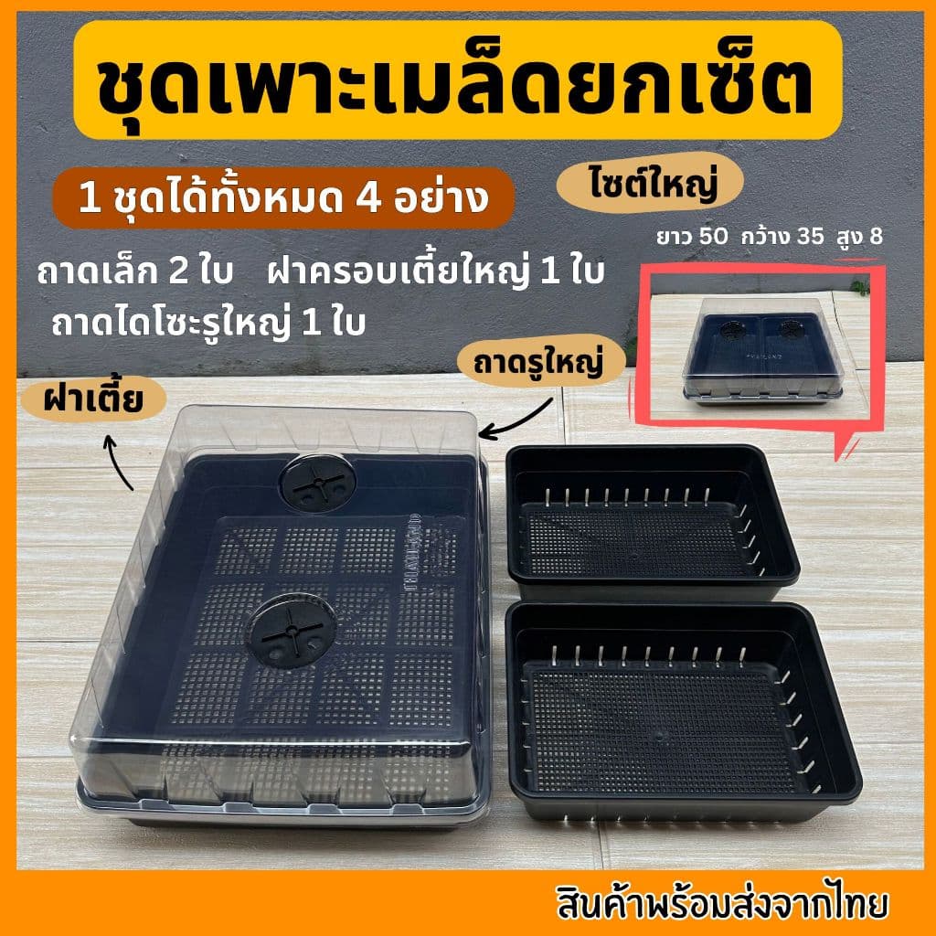 ชุดเพาะเมล็ด เซ็ตถาดไดโซะ ถาดทึบ ถาดรู ชุดเพาะชำ ฝาครอบ ถูกที่สุด รูปที่ 9