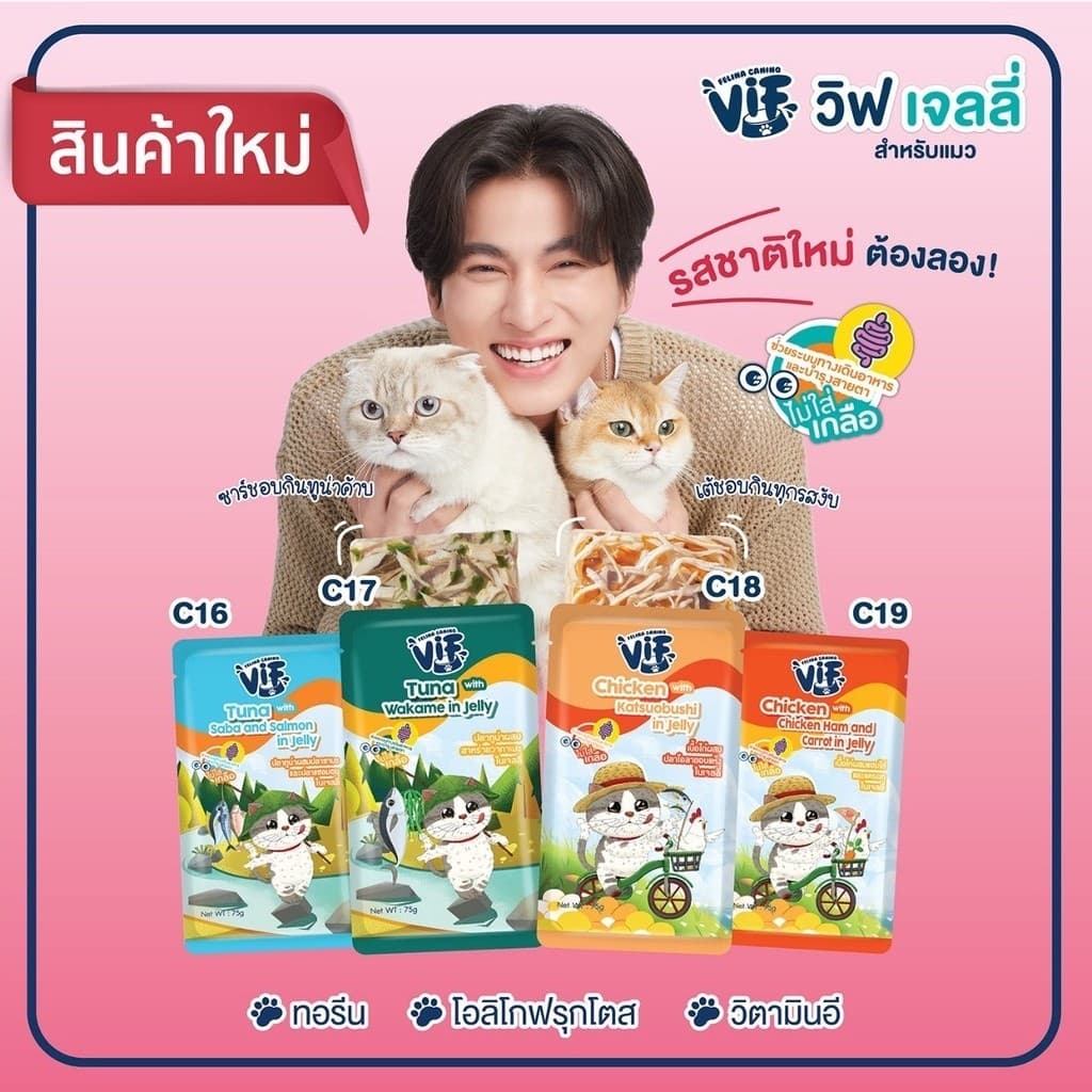 VIF Felina Canino อาหารเปียกแมววิฟ อาหารแมว ครบสูตร ขนาด 75 กรัม รูปที่ 7