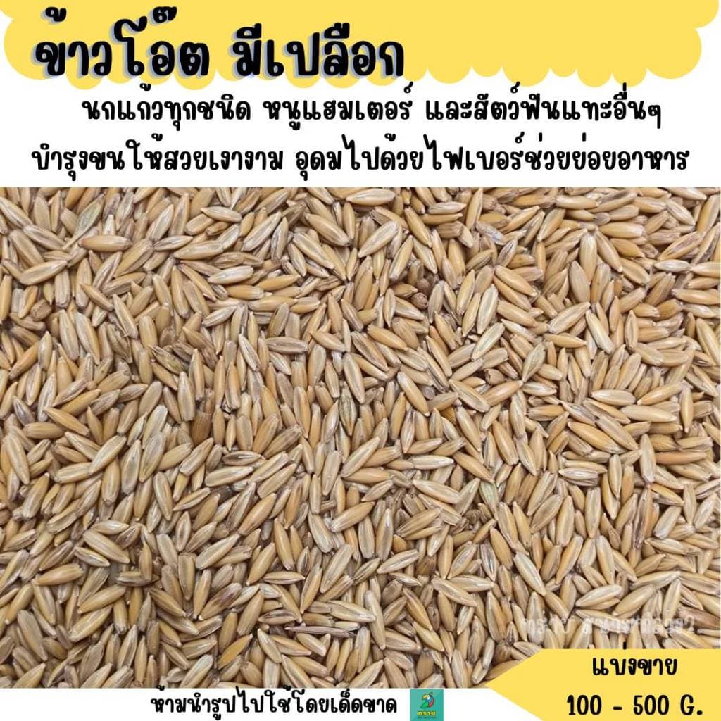 ข้าวโอ๊ต มีเปลือก อาหารนก และสัตว์ฟันแทะ รูปที่ 1