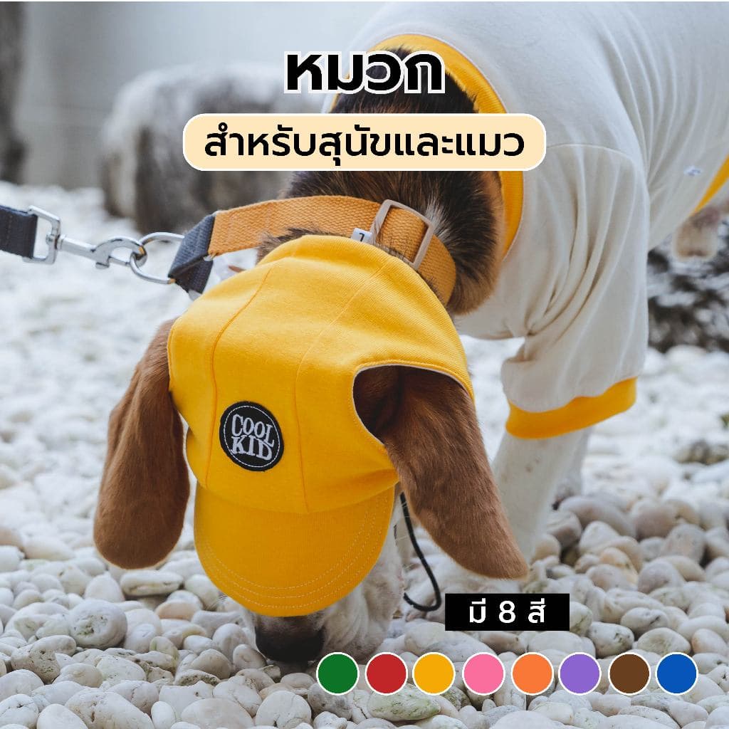หมวก CoolKid ของแท้ หมวกหมาแมว มีไซส์ใหญ่ นุ่ม สบาย ไม่รัดหู | CLAWSET.BKK