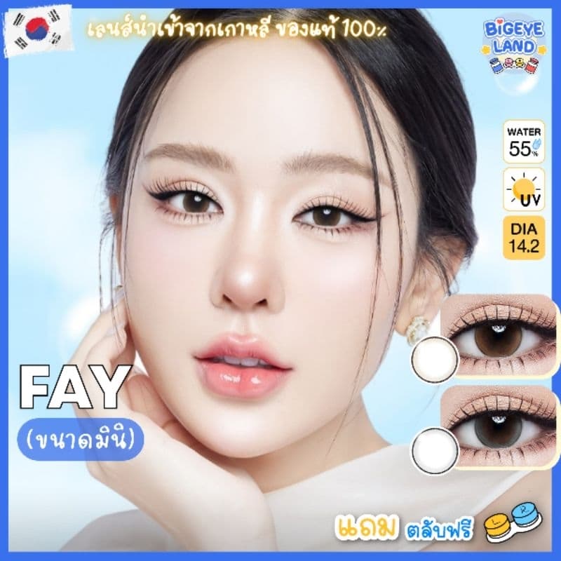 คอนแทคเลนส์ Fay Brown / Gray ขนาดมินิ รูปที่ 2