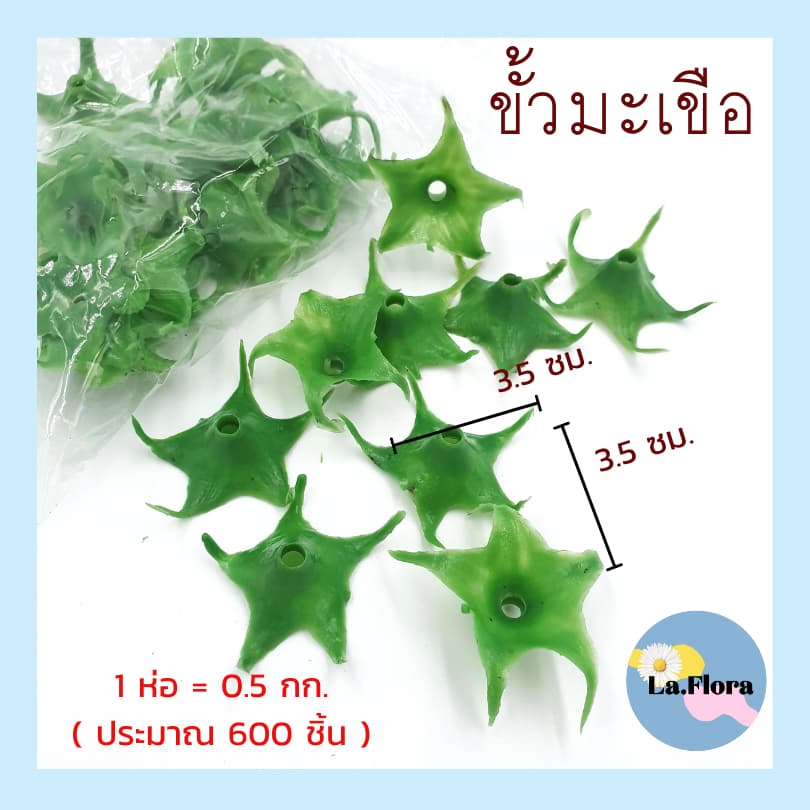 ขั้วดอกไม้พลาสติก แพ็ค100ชิ้น ก้นดอกไม้ ขั้วชบา ขั้วมะเขือเทศ ขั้วสตอเบอรี่ ขั้วกุหลาบ ขั้วมะเขือ ก้นกุหลาบ พับเหรียญ รูปที่ 3